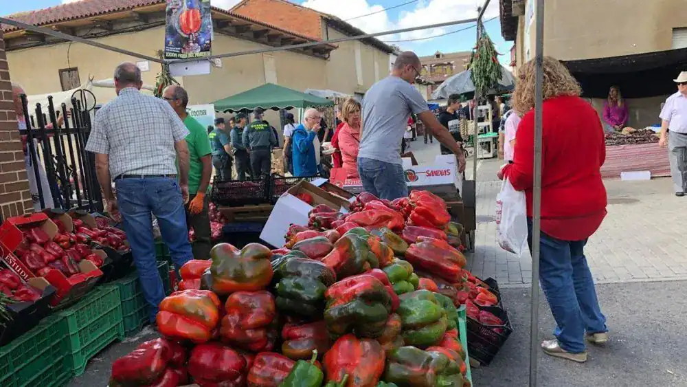 Feria de Hortalizas y Legumbres - ferias en león septiembre 2025